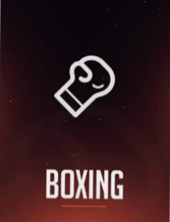 Rainbet Boxing Sportwetten Österreich